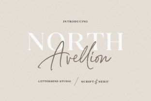 North Avellion Duo Font Review for Web Design