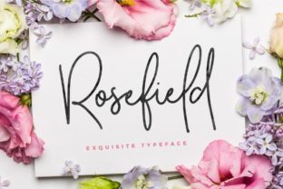 Rosefield: A Designer’s Take on This Script Amp