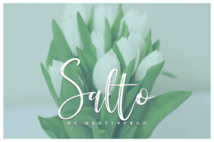 Salto: A Font to Elevate Your Brand's Visual Identity