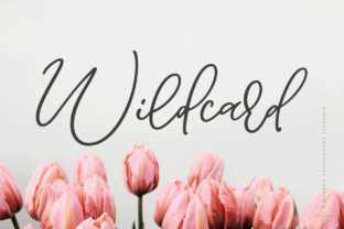 Wildcard: A Modern Calligraphy Font for Engaging Campaigns